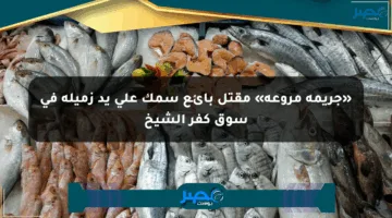 «جريمة مروعة» مقتل بائع سمك على يد زميله في سوق كفر الشيخ